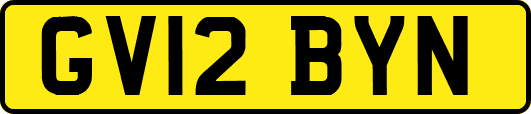GV12BYN