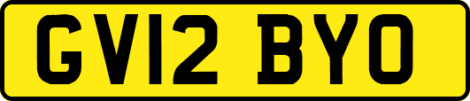 GV12BYO