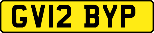 GV12BYP