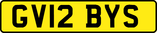 GV12BYS