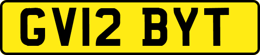 GV12BYT