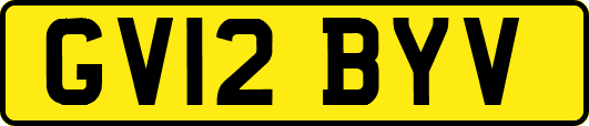 GV12BYV