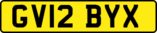 GV12BYX