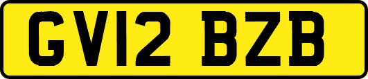 GV12BZB