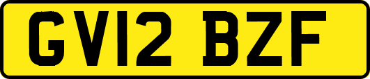 GV12BZF