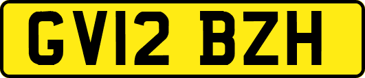 GV12BZH