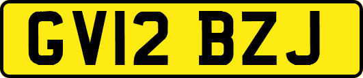 GV12BZJ