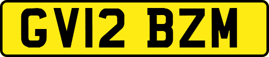 GV12BZM