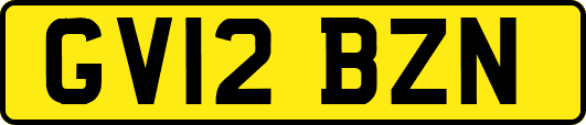 GV12BZN