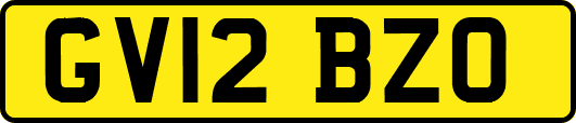 GV12BZO