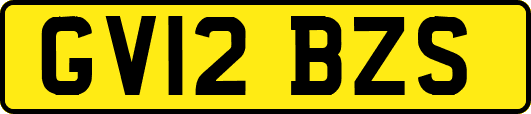 GV12BZS