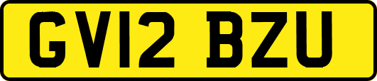 GV12BZU