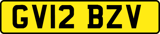 GV12BZV