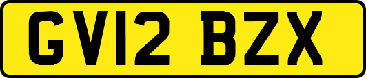 GV12BZX