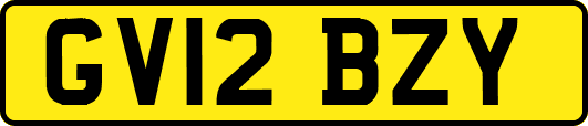 GV12BZY