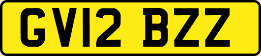 GV12BZZ