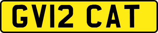 GV12CAT