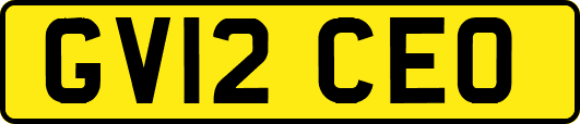 GV12CEO