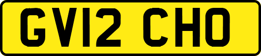 GV12CHO