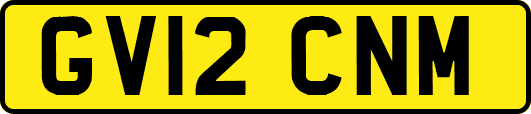 GV12CNM