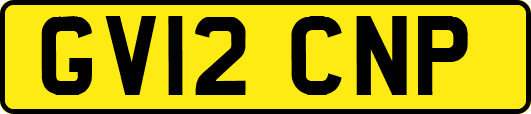 GV12CNP