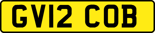 GV12COB