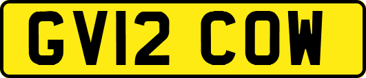 GV12COW