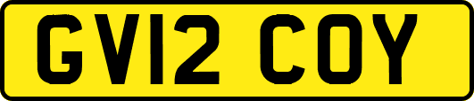 GV12COY