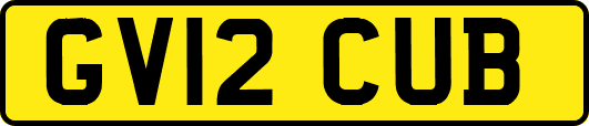 GV12CUB