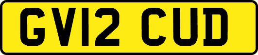 GV12CUD