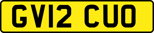 GV12CUO
