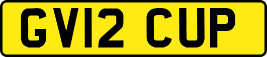 GV12CUP