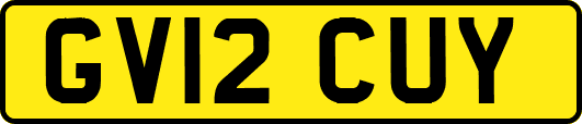 GV12CUY