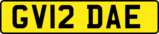 GV12DAE