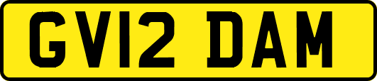 GV12DAM