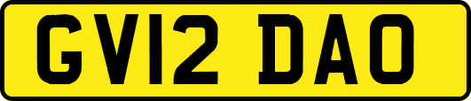 GV12DAO