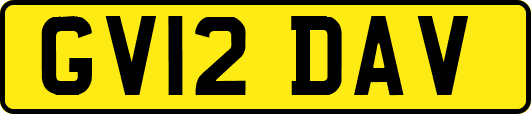 GV12DAV
