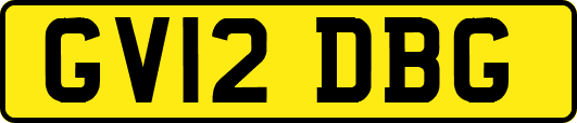 GV12DBG
