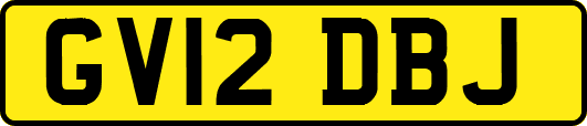 GV12DBJ