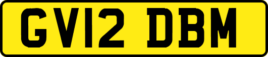 GV12DBM