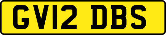 GV12DBS