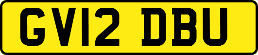GV12DBU
