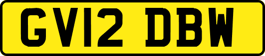 GV12DBW