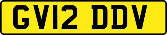 GV12DDV