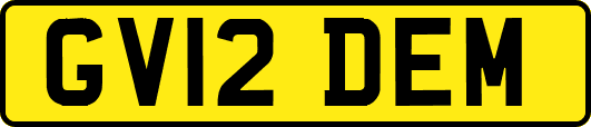 GV12DEM