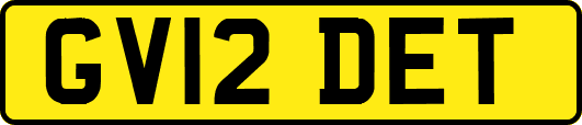 GV12DET