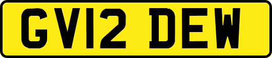 GV12DEW