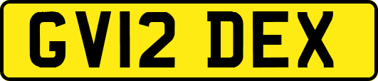 GV12DEX