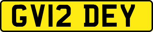 GV12DEY