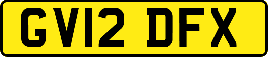 GV12DFX
